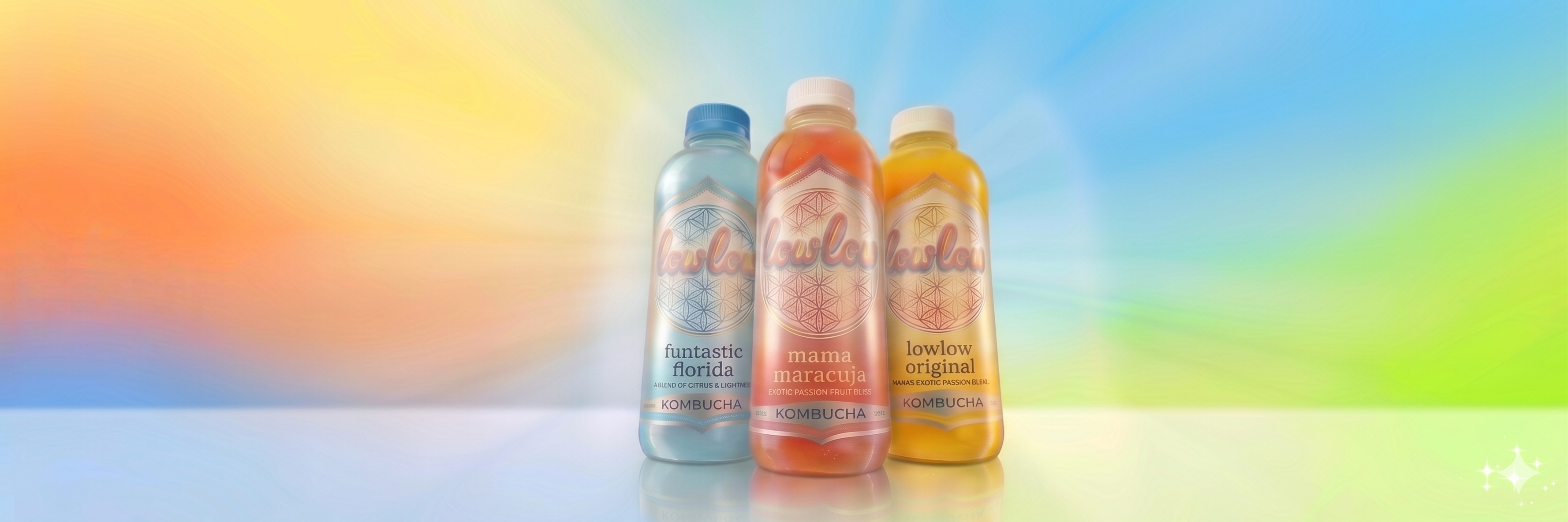lowlow Kombucha